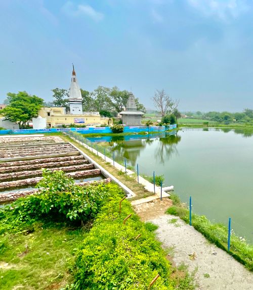 Sanierung eines Teichs